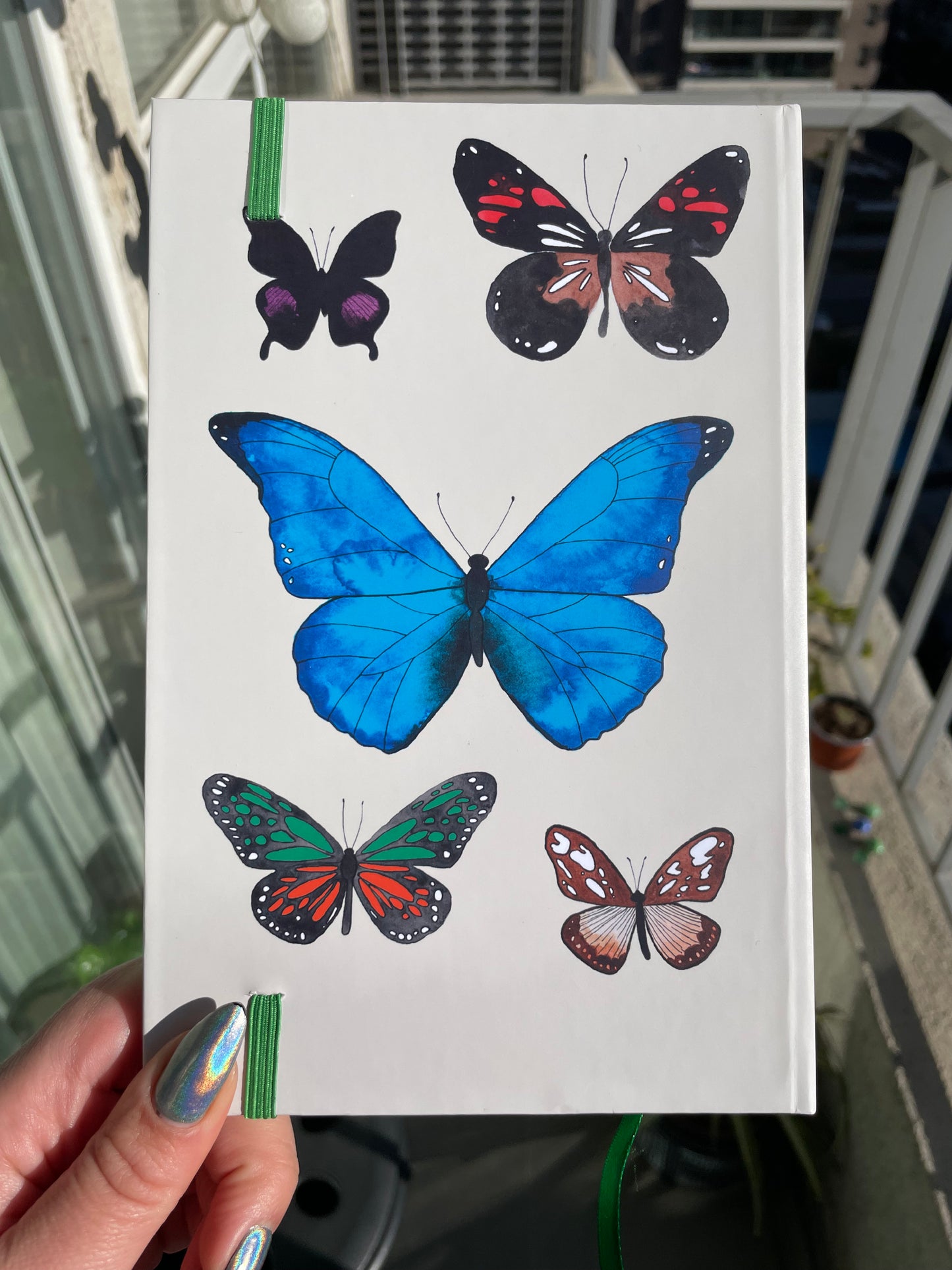 Agenda de Mariposas