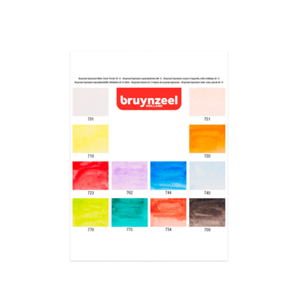 Lápices Acuarelables Bruynzeel Expression set 12 Colores