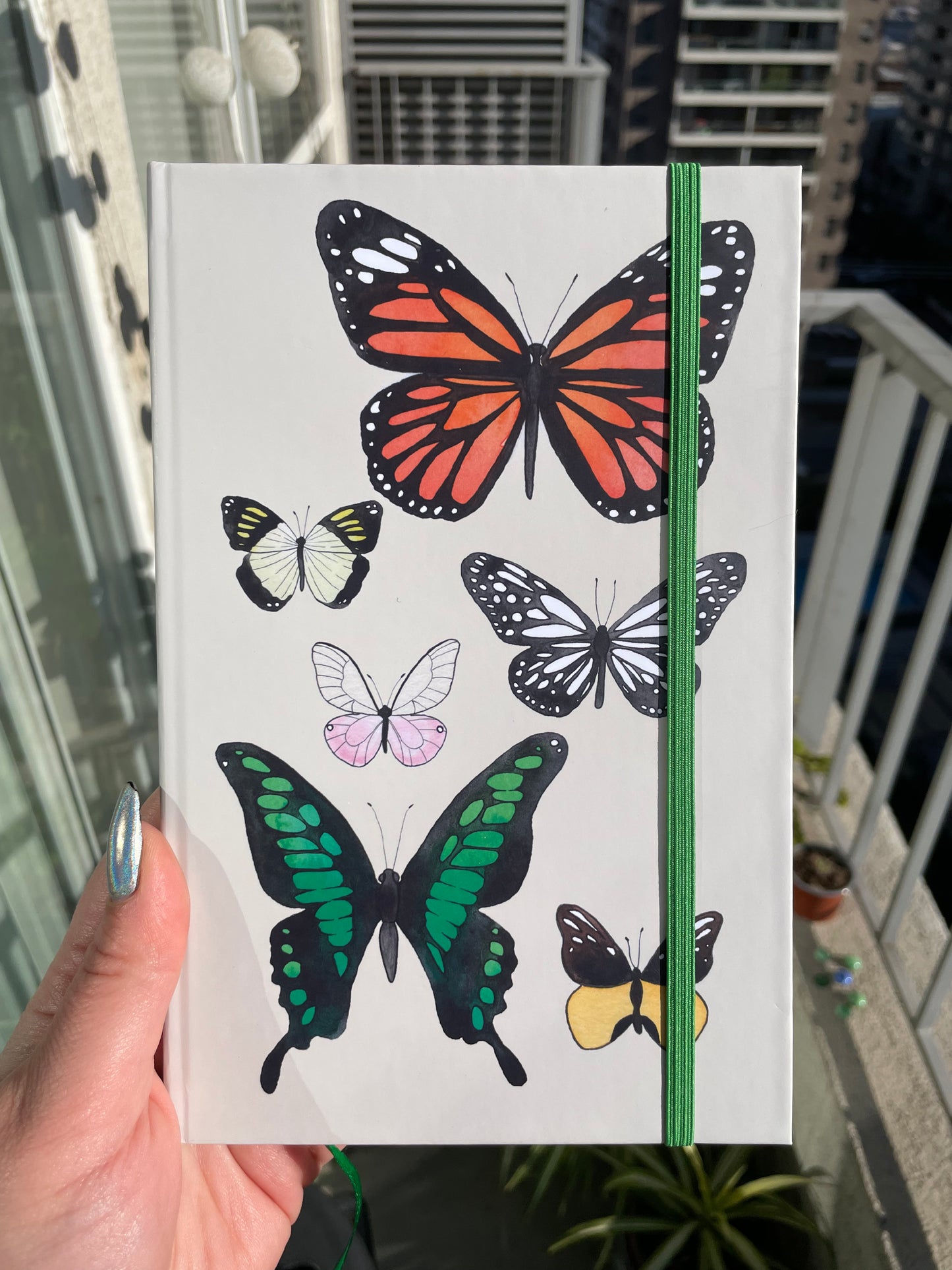 Agenda de Mariposas