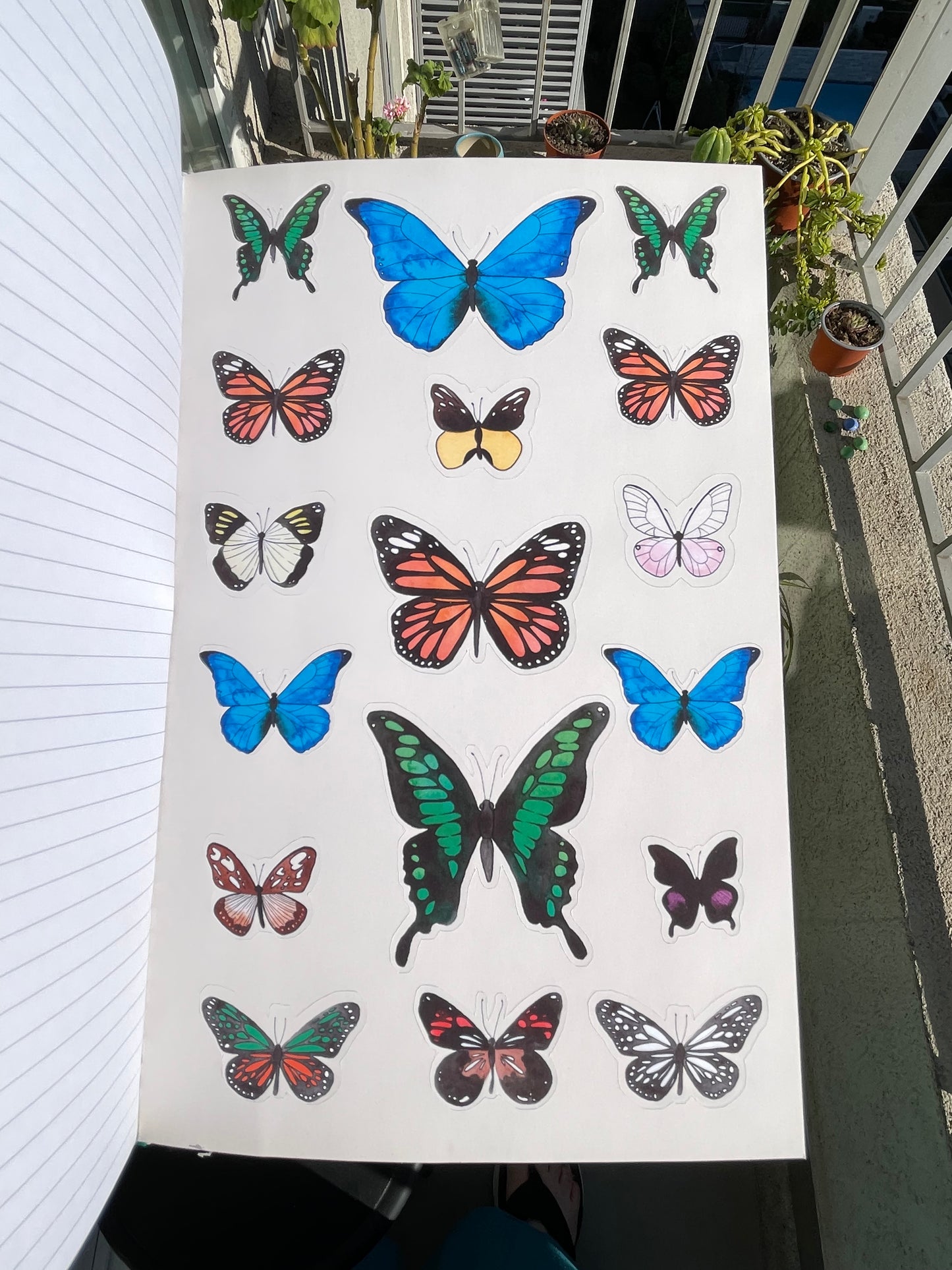 Agenda de Mariposas